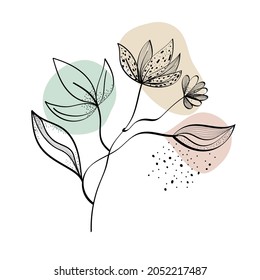 Floral background. Beautiful flowers. Leaves.
