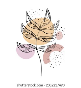 Floral background. Beautiful flowers. Leaves.