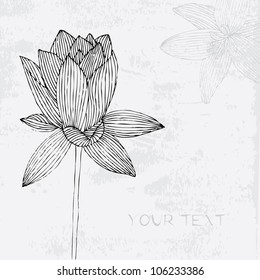 Floral background. Beautiful frame with flowers lily.