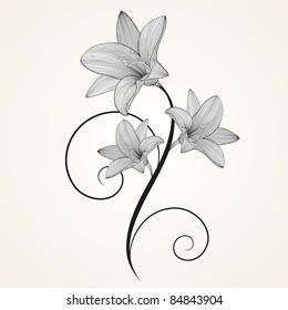 Floral background. Beautiful frame with flowers lily. Element for design.