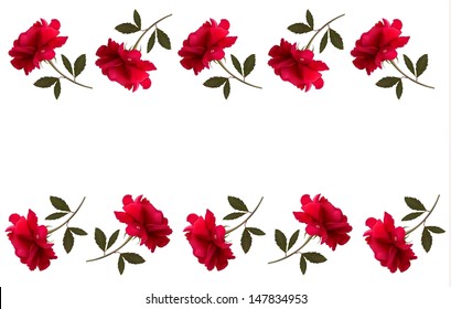 Floral background with beautiful red roses. Vector illustration