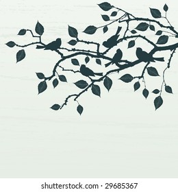 Floral Background, birds