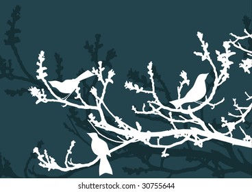 Floral Background, birds