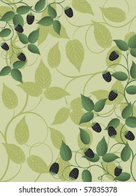Floral background with a blackberry. Vector illustration.