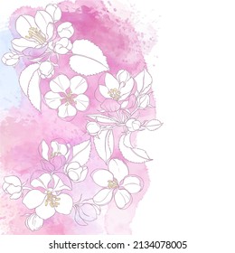 Floral background with blooming apple tree branches on pink watercolor background. Vector. Invitation, greeting card or an element for your design. Vertical composition.