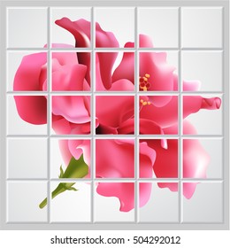 Floral background. Blooming hibiscus for design purposes. Fully editable vector