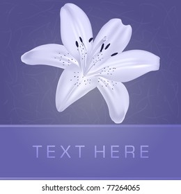 floral background with blooming lily