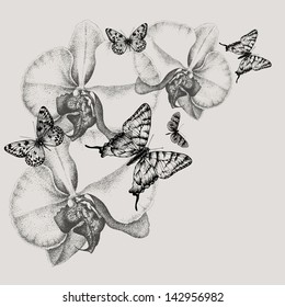 Floral background with blooming orchids and butterflies, hand-drawing. Vector illustration.