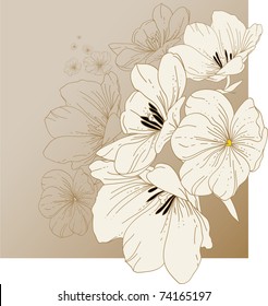 Floral background with blooming tulips
