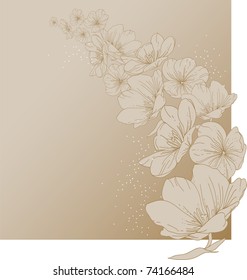 Floral background with blooming tulips