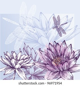 Floral background and blooming water lilies   dragonflies flying  hand  drawing  Vector 