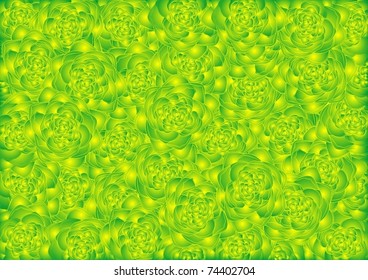 Floral background of blossoming roses