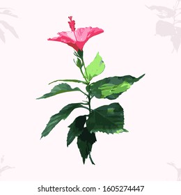 Floral background. Branch of a rose on a light background.