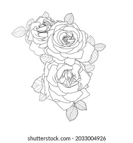 Floral background. Branch of roses on a white background.