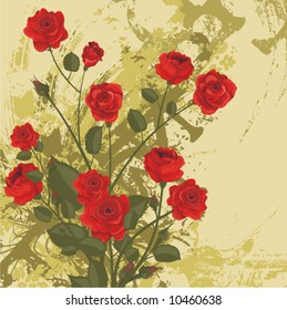 Floral background with a bunch of red roses and grunge details, vector illustration series.