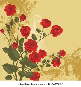 Floral background with a bunch of red roses and grunge details, vector illustration series.