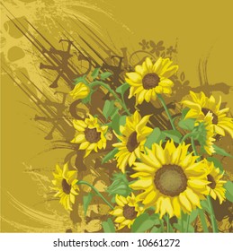 Floral background with a bunch of sunflowers and grunge details, vector illustration series.