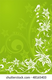 Floral Background with butterfly, element for design, vector illustration
