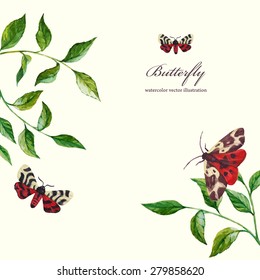 floral background with butterfly. vector illustration