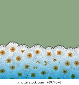 Floral background with camomiles.Vector eps10
