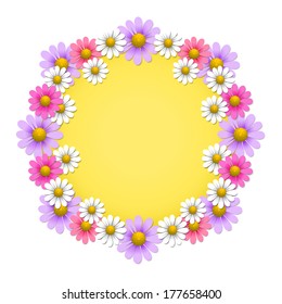 Floral background with chamomile and daisy, vector illustration