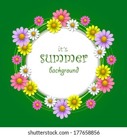 Floral background with chamomile and daisy, vector illustration