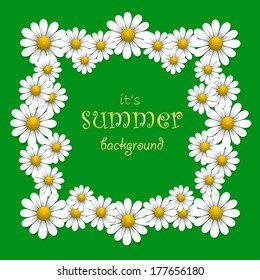 Floral background with chamomile, vector illustration