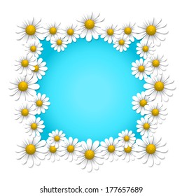 Floral background with chamomile, vector illustration