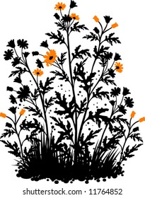 Floral background with the chamomiles