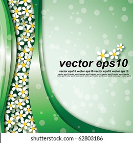 Floral background. Chamomiles. (vector eps10, CMYK)