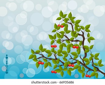 Floral background with a cherry. Vector illustration.