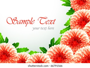floral background with chrysanthemum vector illustration