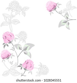 Floral  background with clover and place for text. Vector illustration on a white background. Invitation, greeting card or an element for your design.