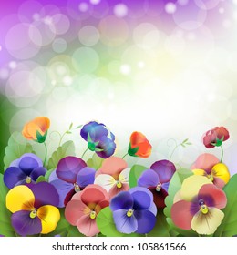 Floral background, colorful pansies flowers in the meadow