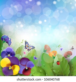 Floral background, colorful pansies flowers in the meadow