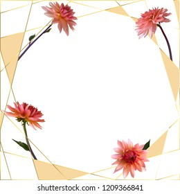 Floral background. Dahlia. Flowers. Pink. Petals. Leaves. Frame. Gold.