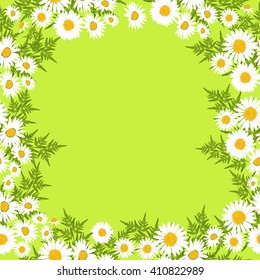 Floral background with daisies flowers. Vector illustration.