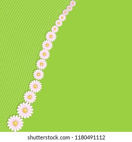 Floral background with daisies. Invitation, print card, blank vector