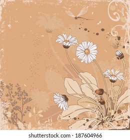 Floral background with daisy flowers