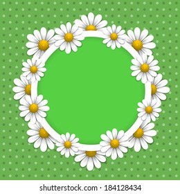 Floral background with daisy, vector illustration