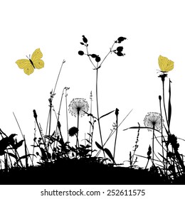 Floral background with dandelion