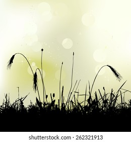 floral background, dandelion