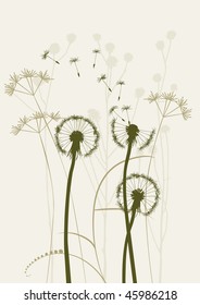 floral background, dandelion
