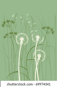 floral background, dandelion