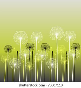 floral background, dandelion