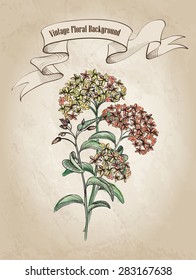 Floral background Flower bouquet over old paper texture.