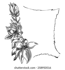 Floral background flower frame black white