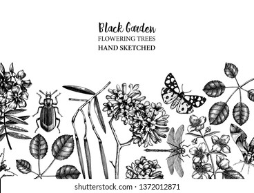 Floral background. Flowering trees with insects design. Hand sketched botanical and entomological elements. Vintage garden plant drawing. Vector template in engraved style. Outlines.