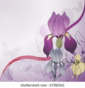 floral background with flowers iris , eps10 format