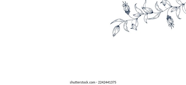  Fondo floral floral, marco, borde, flores delicadas y ramas de capullos. Dibujo manual de contorno. Grabando. Con espacio para texto